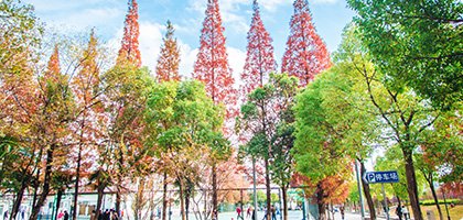 以澳门威斯尼人app新手怎么玩之变回