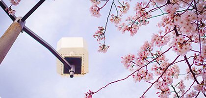 澳门威斯尼人app新手怎么玩 版权所